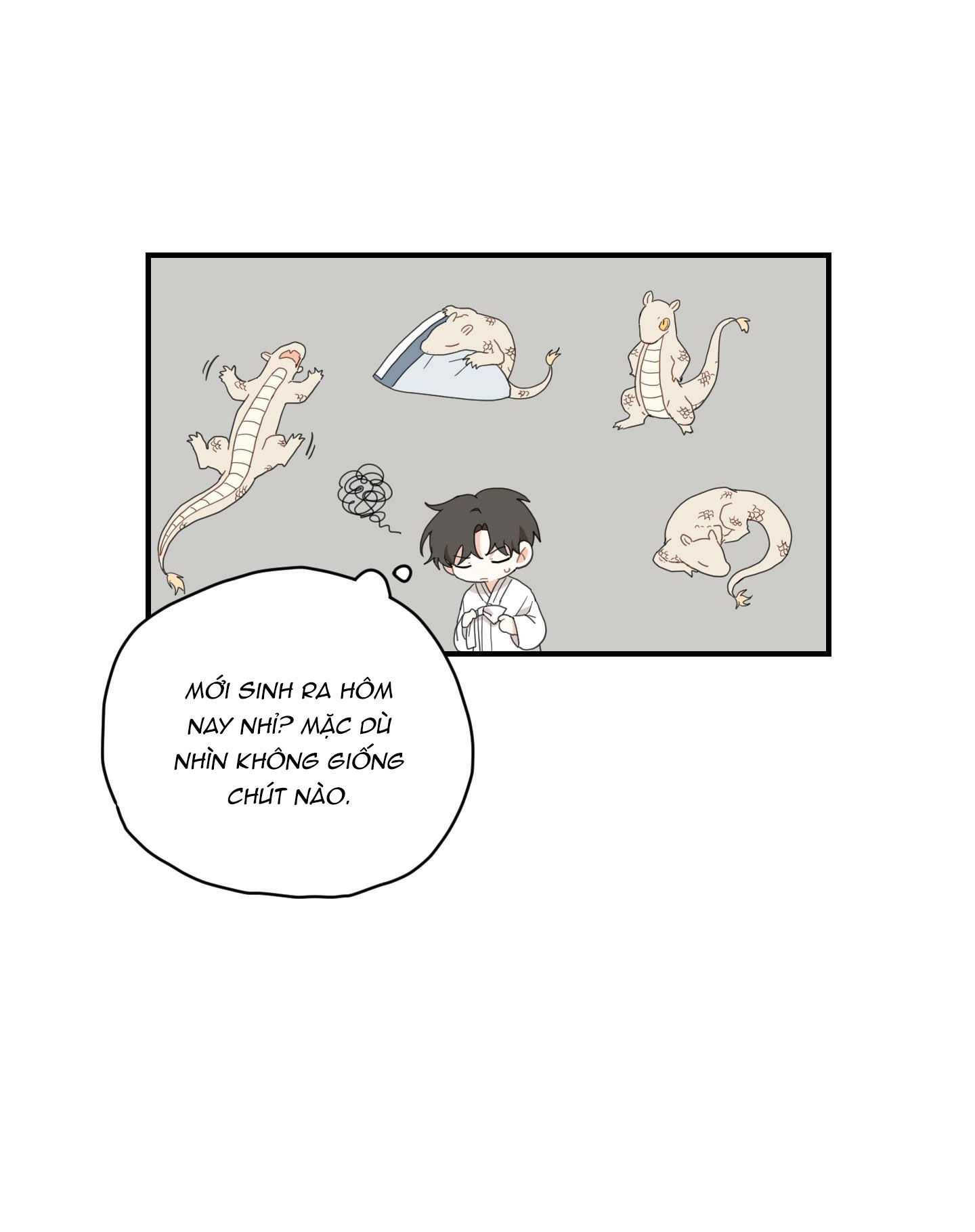 đường hoa liên kiều rơi chapter 3 18