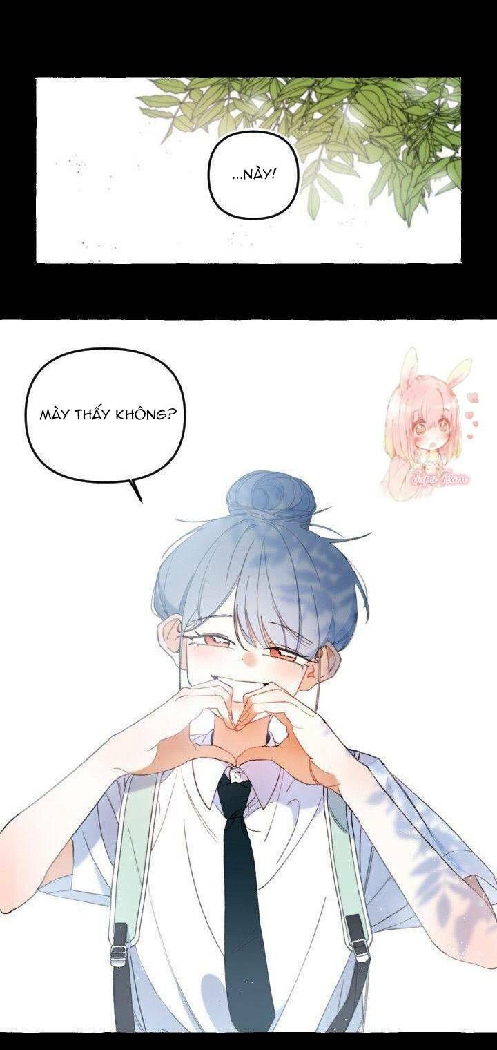lời yêu thì cần app để dịch không? chapter 11 25