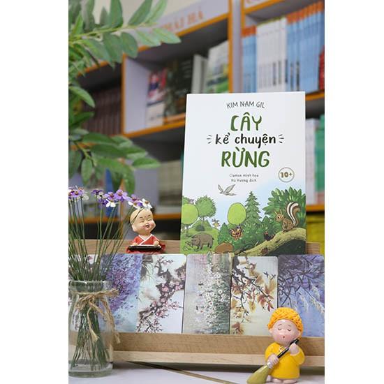 Cây Kể Chuyện Rừng 10+ - Bản Quyền