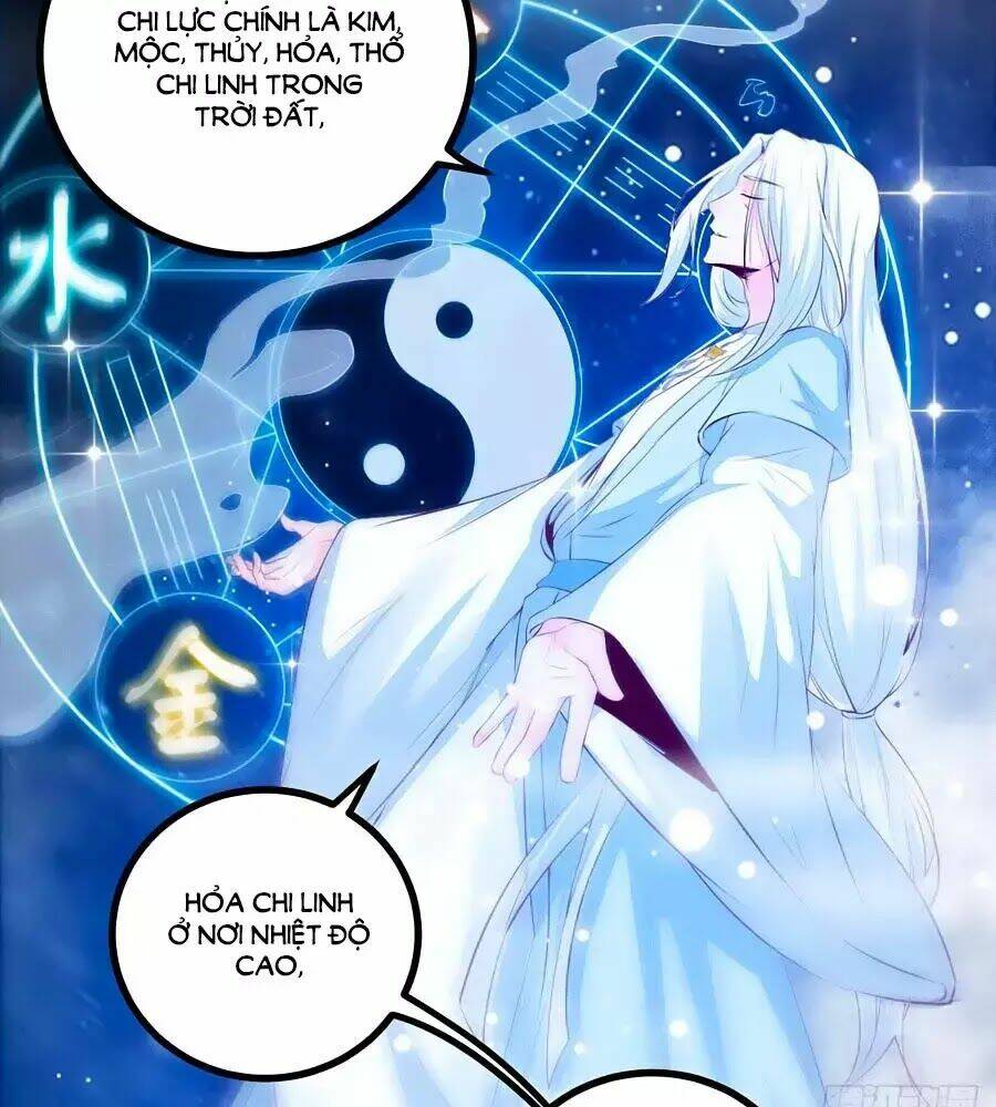 thần y khí nữ: ngự thú cuồng phi của quỷ đế chapter 61 25