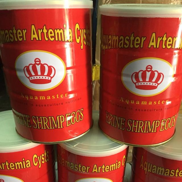 Artemia Lon Đỏ - Trứng Atermia Ấp Nở
