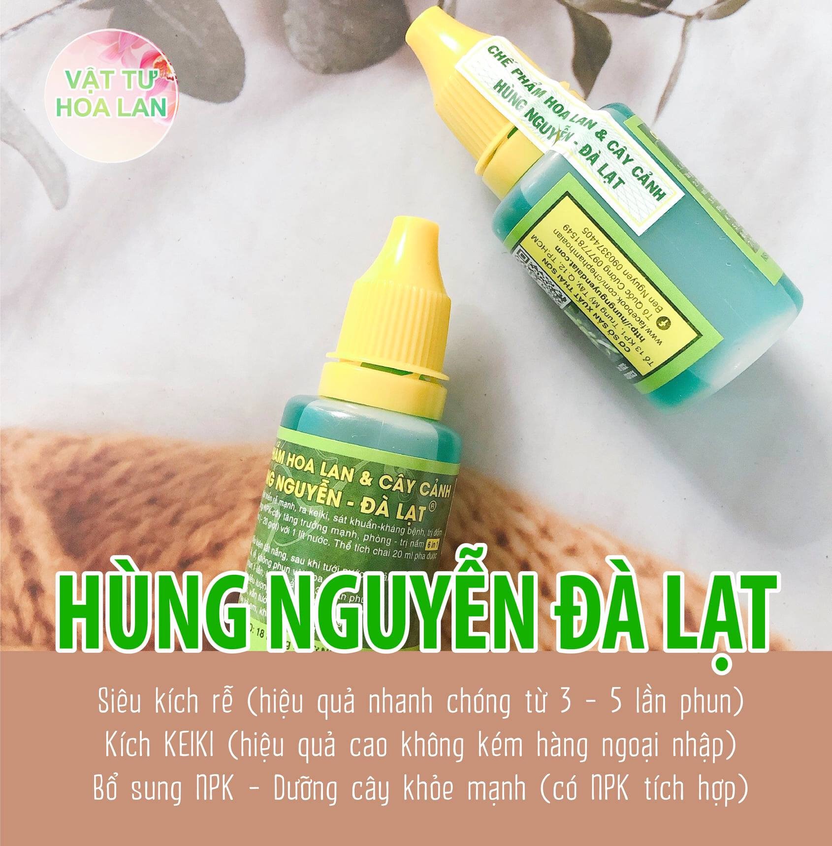 HÙNG NGUYỄN - ĐÀ LẠT 6 IN 1 chế phẩm hoa lan và cây cảnh