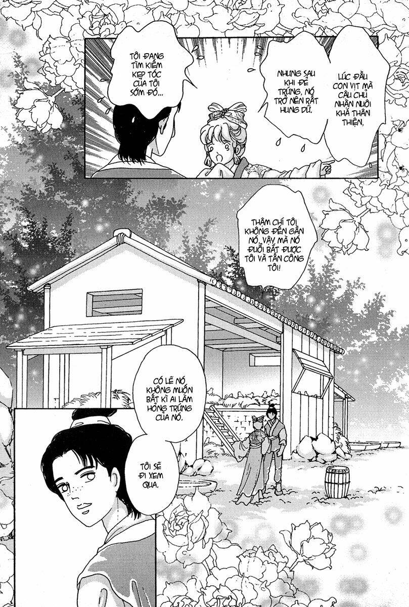 bird of youth chapter 3 11