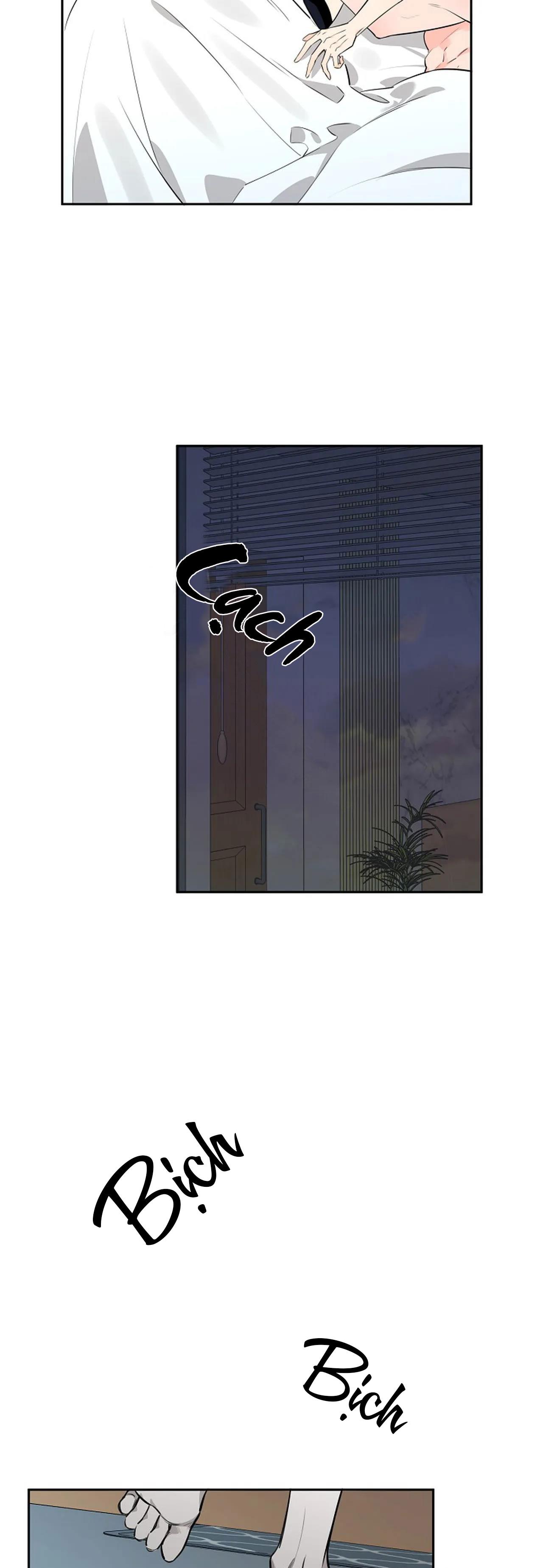 đêm dịu dàng chapter 32 6