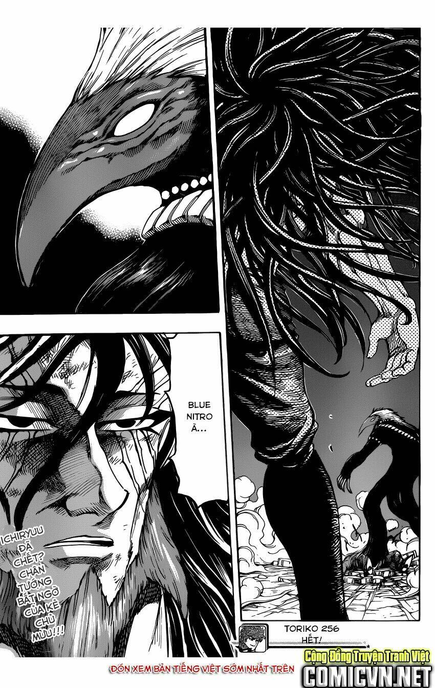 thợ săn ẩm thực chapter 256 19