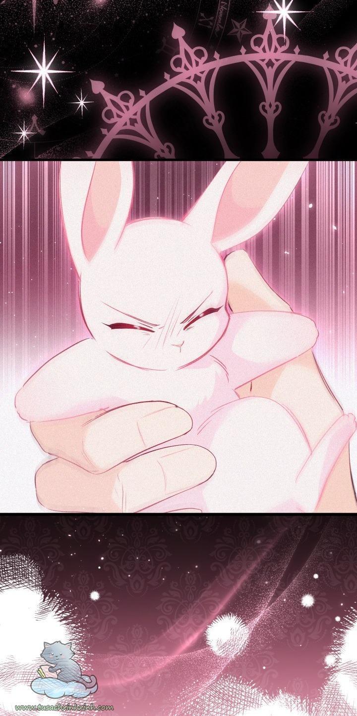 quan hệ cộng sinh giữa báo đen và thỏ trắng chapter 49 62