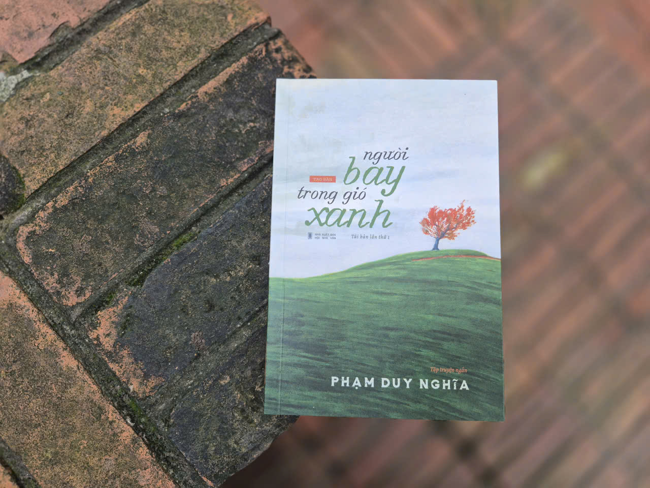 Sách Người Bay Trong Gió Xanh