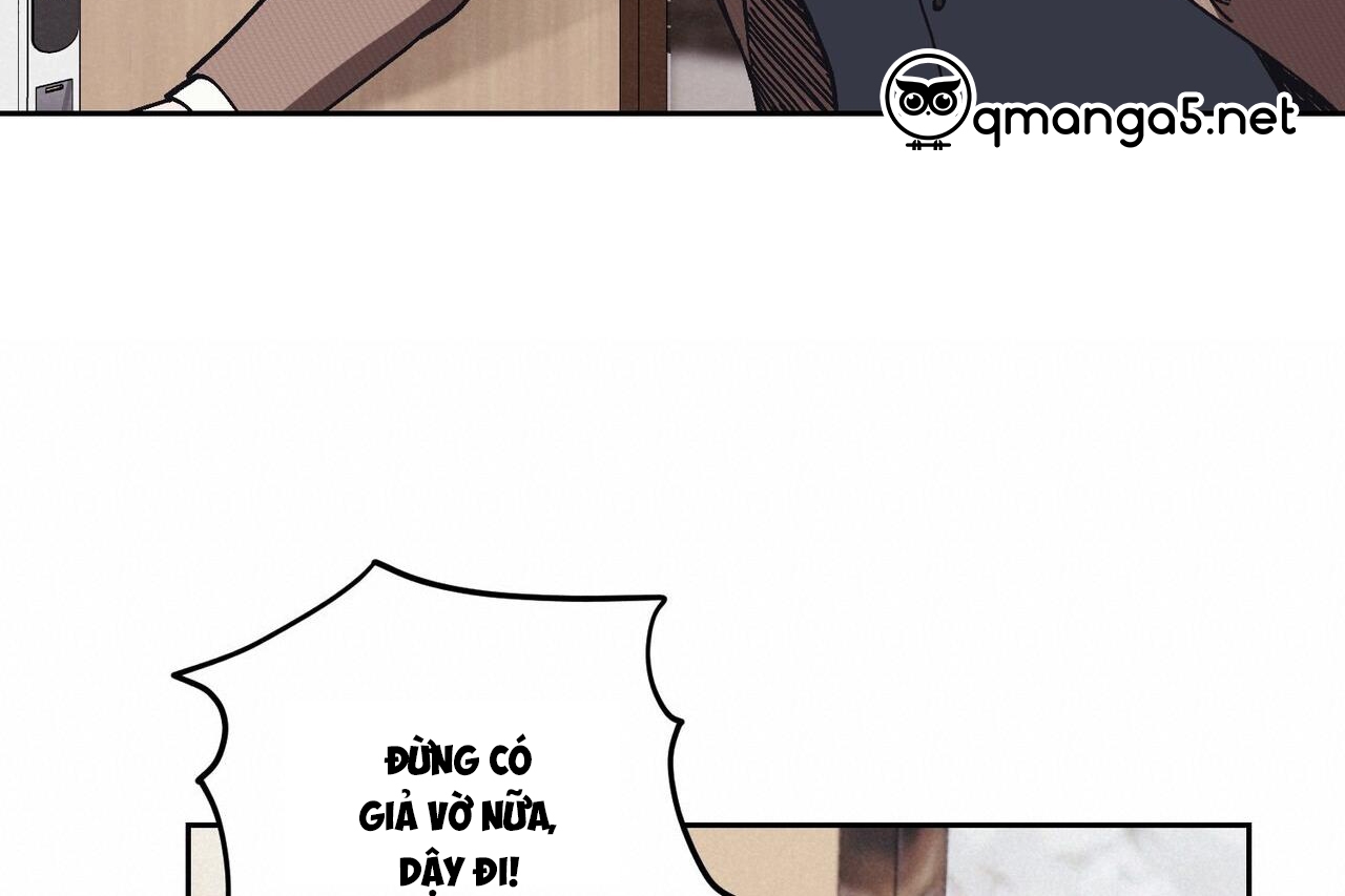 chàng dâu nhà họ kang chapter 31 148