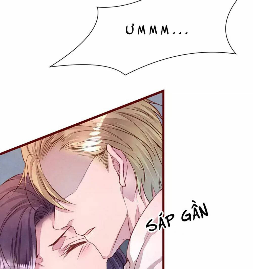 đào tạo nuôi dưỡng bạn trai mèo chapter 40 43