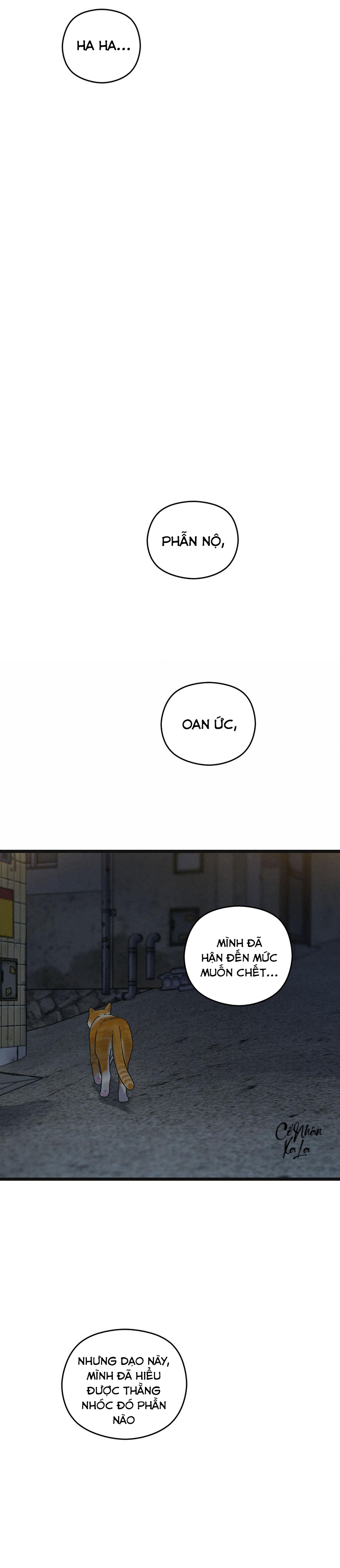 trùng phùng chapter 49 40