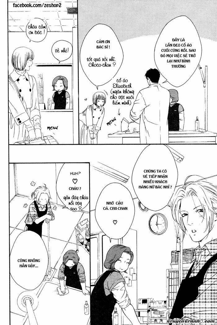 người nuôi mèo và bác sĩ thú y chapter 4 8