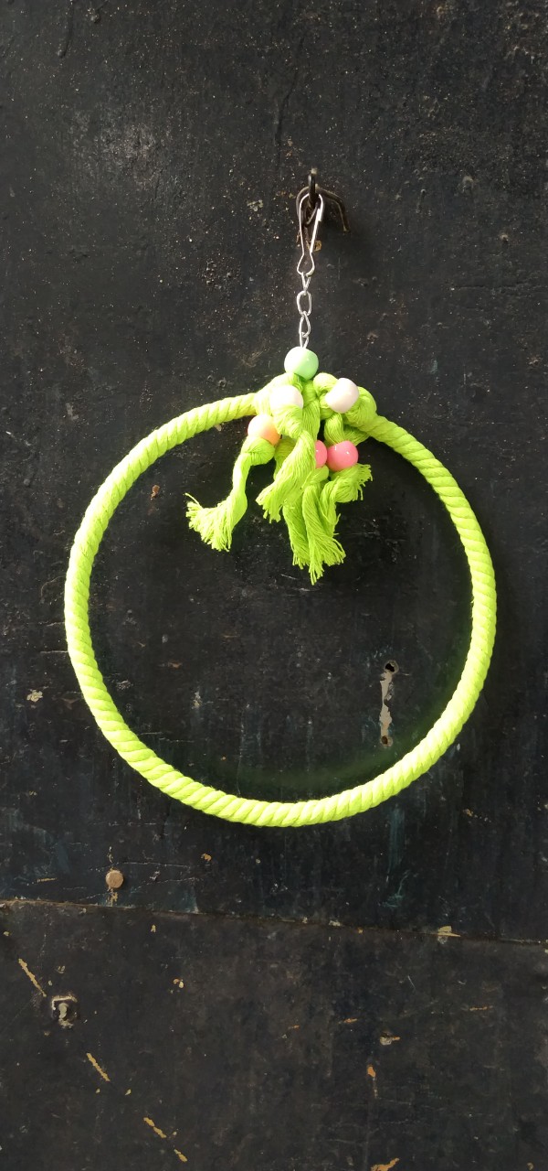1 VÒNG TRÒN SIZE LỚN 20CM ĐƯỢC QUẤN DÂY LÀM ĐỒ CHƠI TREO CHO CÁC LOẠI CHIM, YẾN PHỤNG, CÁC DÒNG VẸT