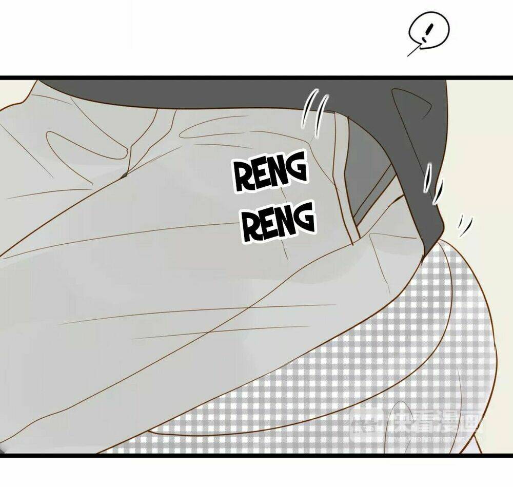 điều giáo quan hệ chapter 15 5