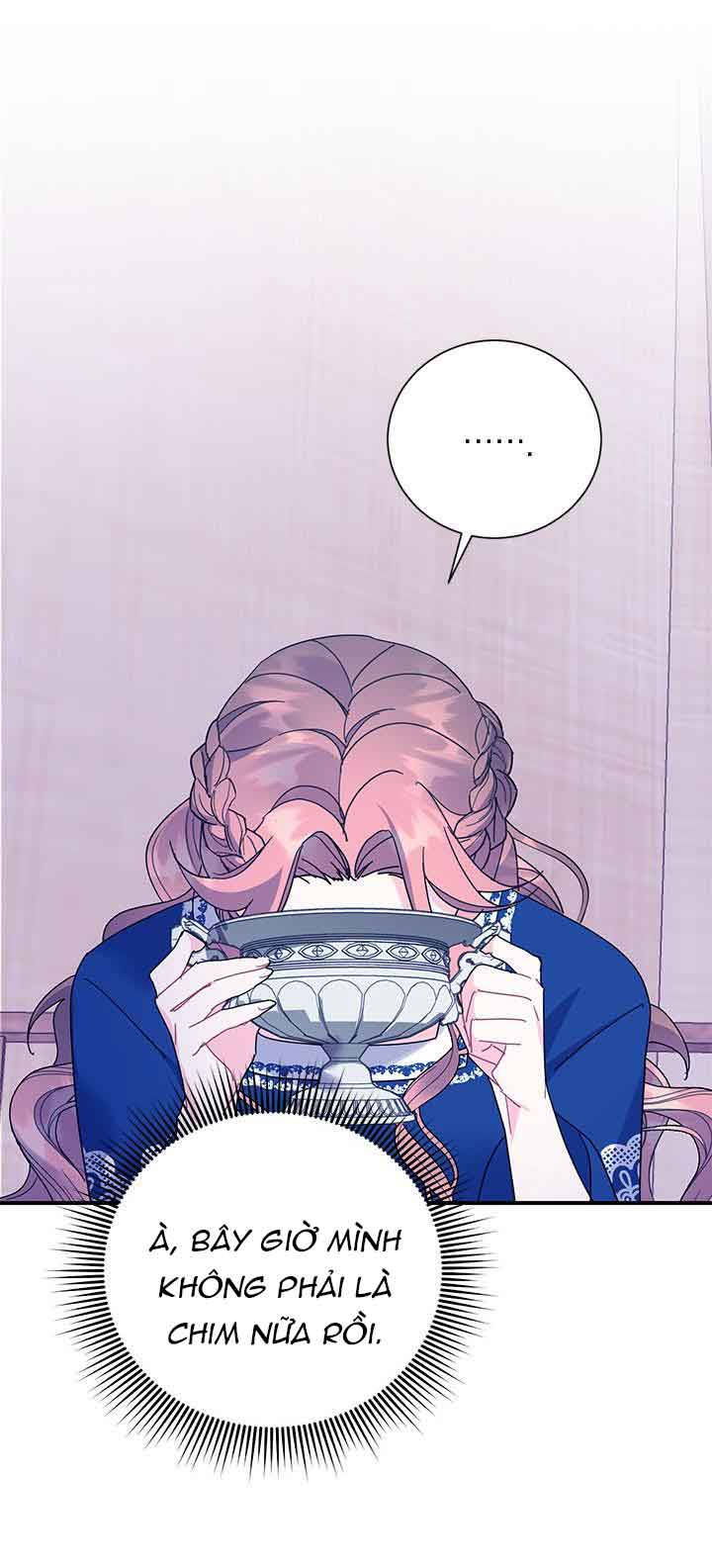 công chúa của loài chim chapter 42.1 1