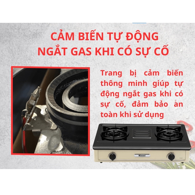 Bếp gas 7 tấc Rinnai RV-A271Y(EB), Chén đồng có ngắt gas tự động - Hàng chính hãng