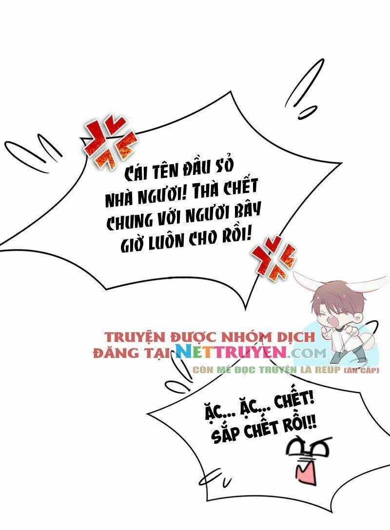 thiên thần gấu trúc muốn được ôm chapter 31 17