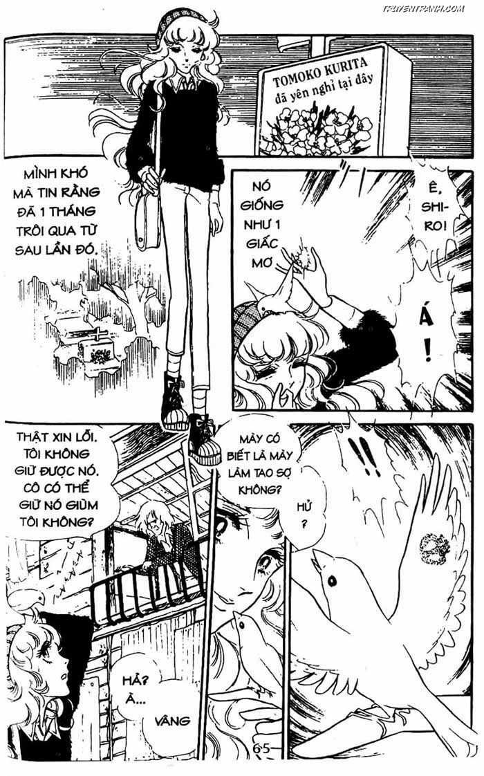 akuma no hanayome (bride of deimos) chapter 6.1 66