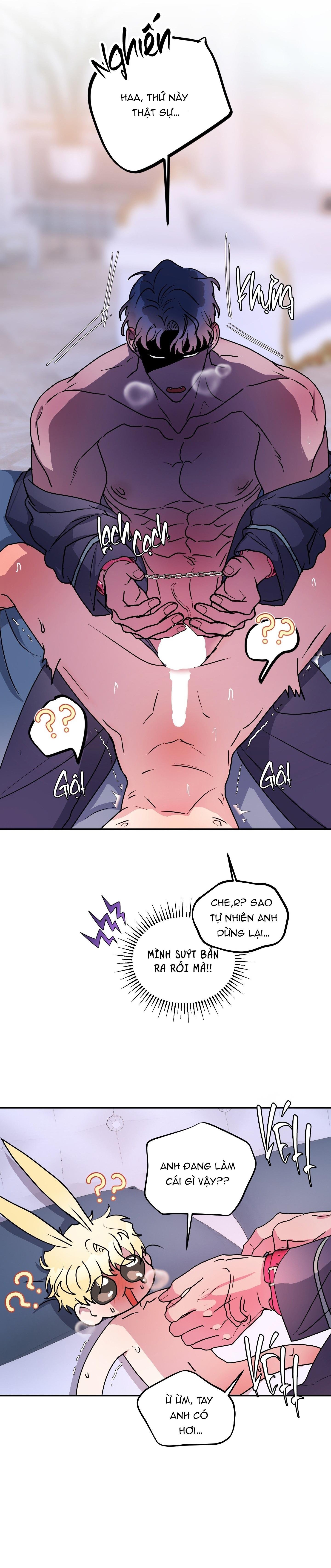 cá mập và cô dâu thỏ chapter 50 22