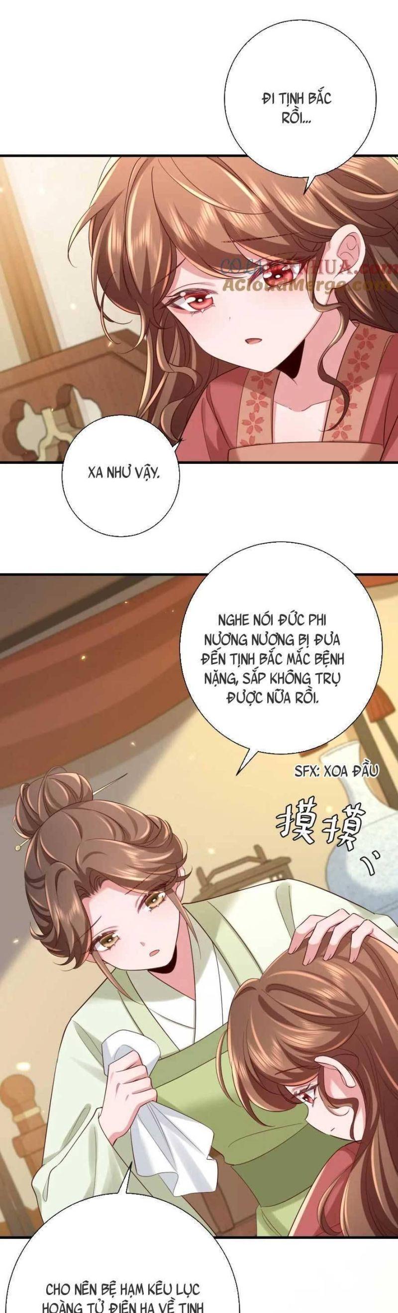 phương thức sinh tồn của công chúa pháo hôi chapter 161 4