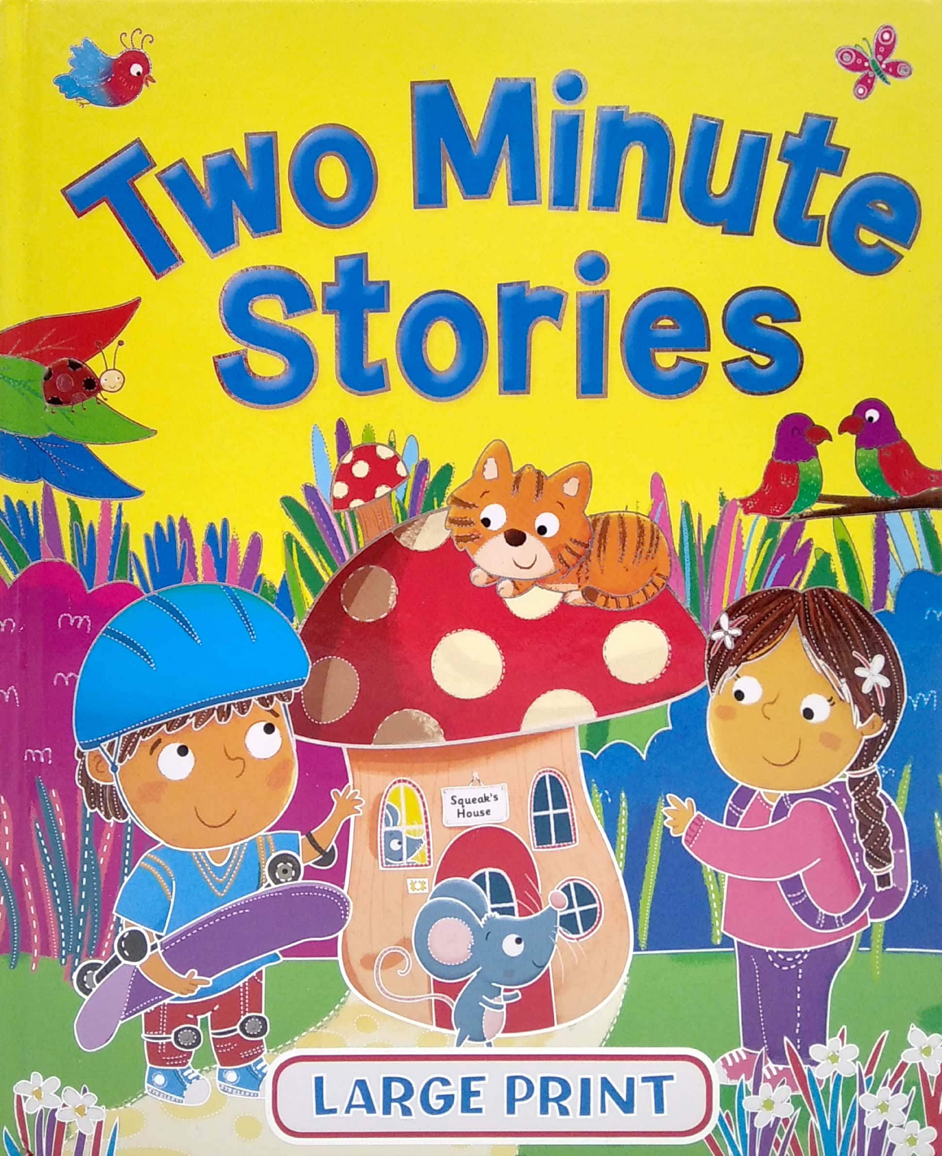 Large Print Two Minute Stories