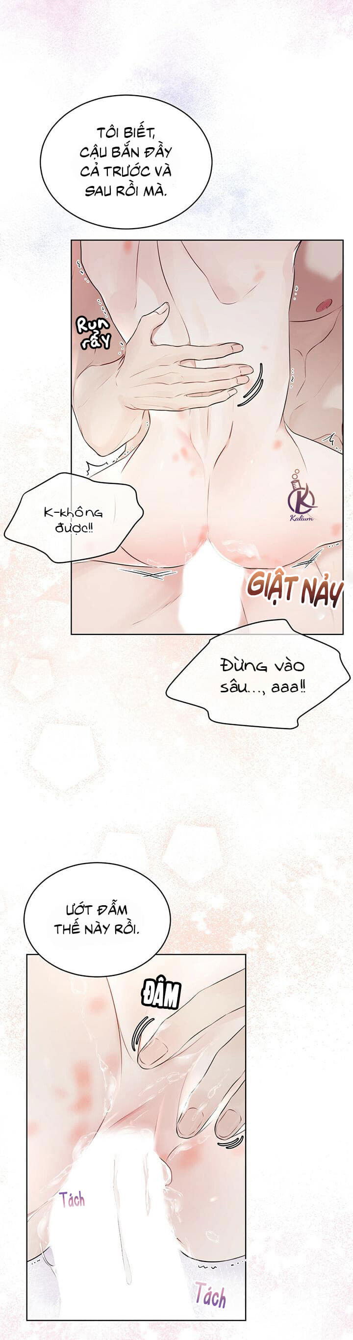 hình thái khởi sinh chapter 29 19