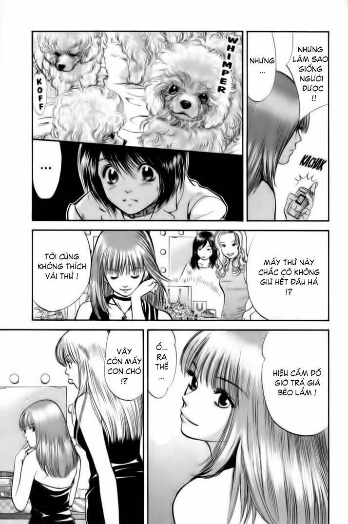 cô nàng yêu chó chapter 25 15