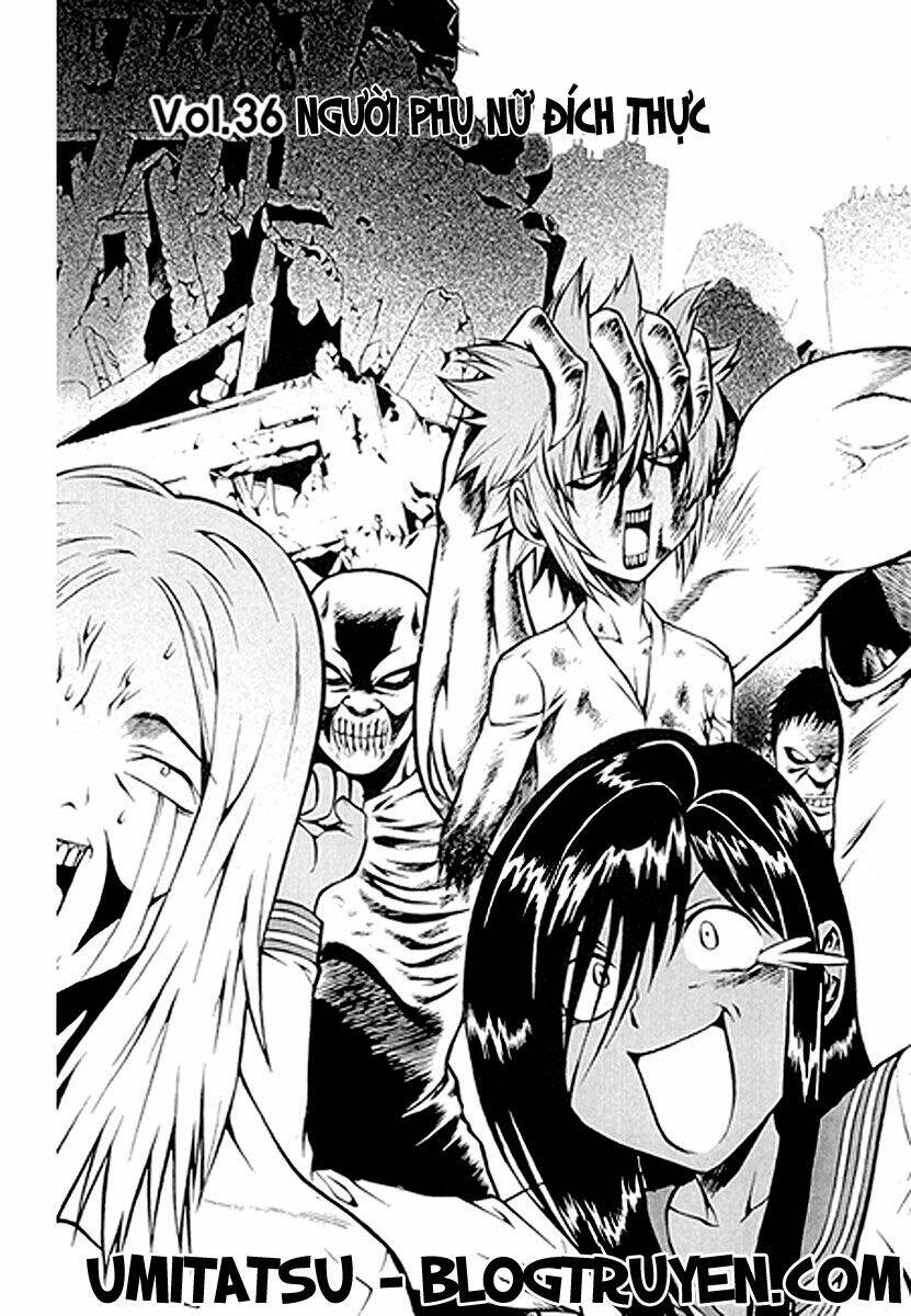 zippy ziggy chapter 36 8