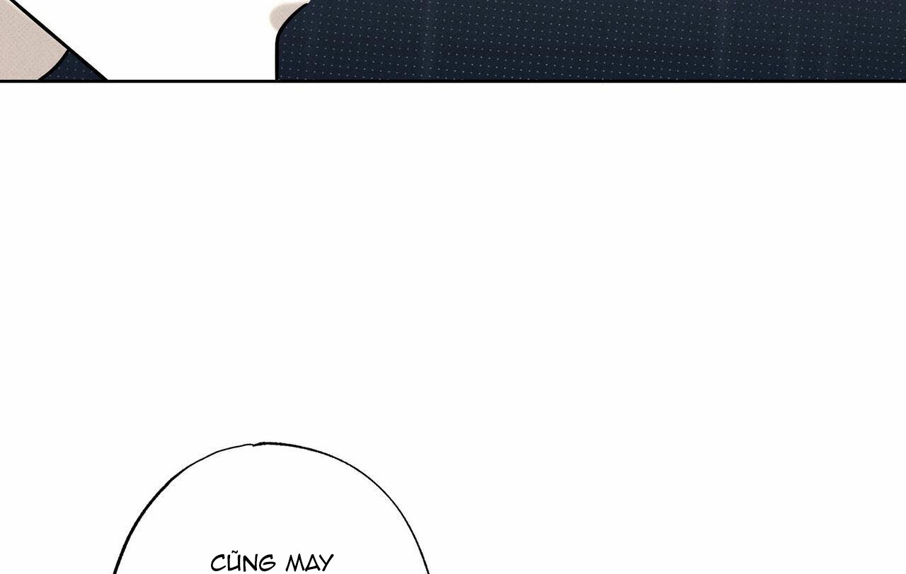 chàng giao pizza và gold palace chapter 23 151