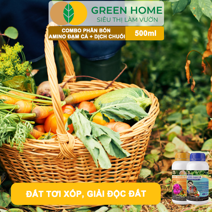 Combo Phân Bón Hữu Cơ Đạm Cá + Dịch Chuối GreenHome, 500ml, Kích Rễ, Bung Đọt, Tăng Đậu Trái To Ngọt