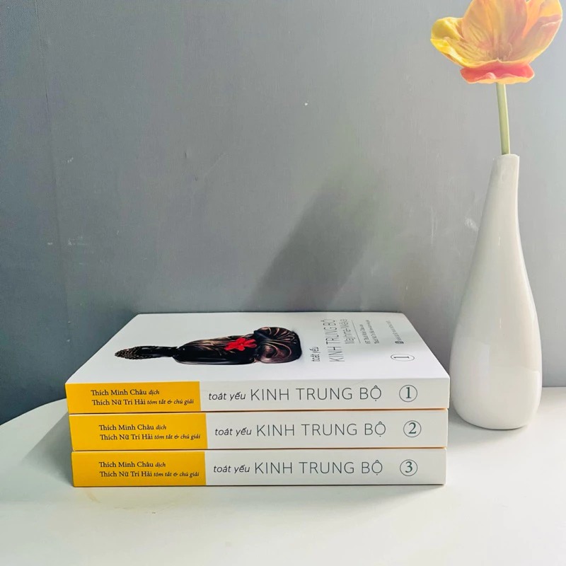 Sách - Toát Yếu Kinh Trung Bộ (Bộ 3 Cuốn)