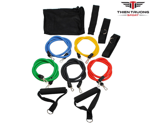 Bộ dây tập thể lực 5 màu dài 120cm làm từ sợi cao su đàn hồi, hỗ trợ các bài tập thể lực tại nhà hiệu quả