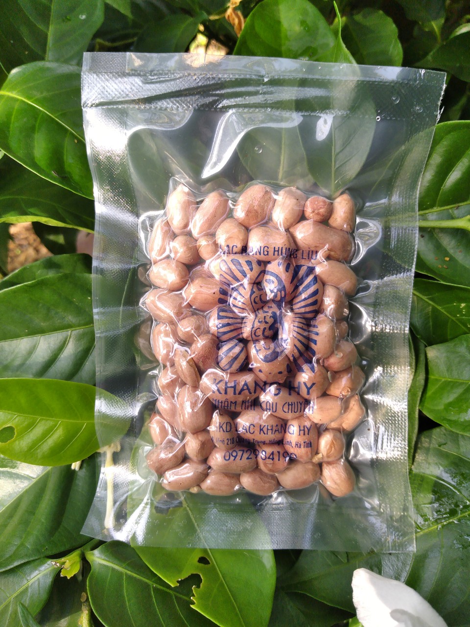 LẠC RANG HÚNG LÌU KHANG HY 50G