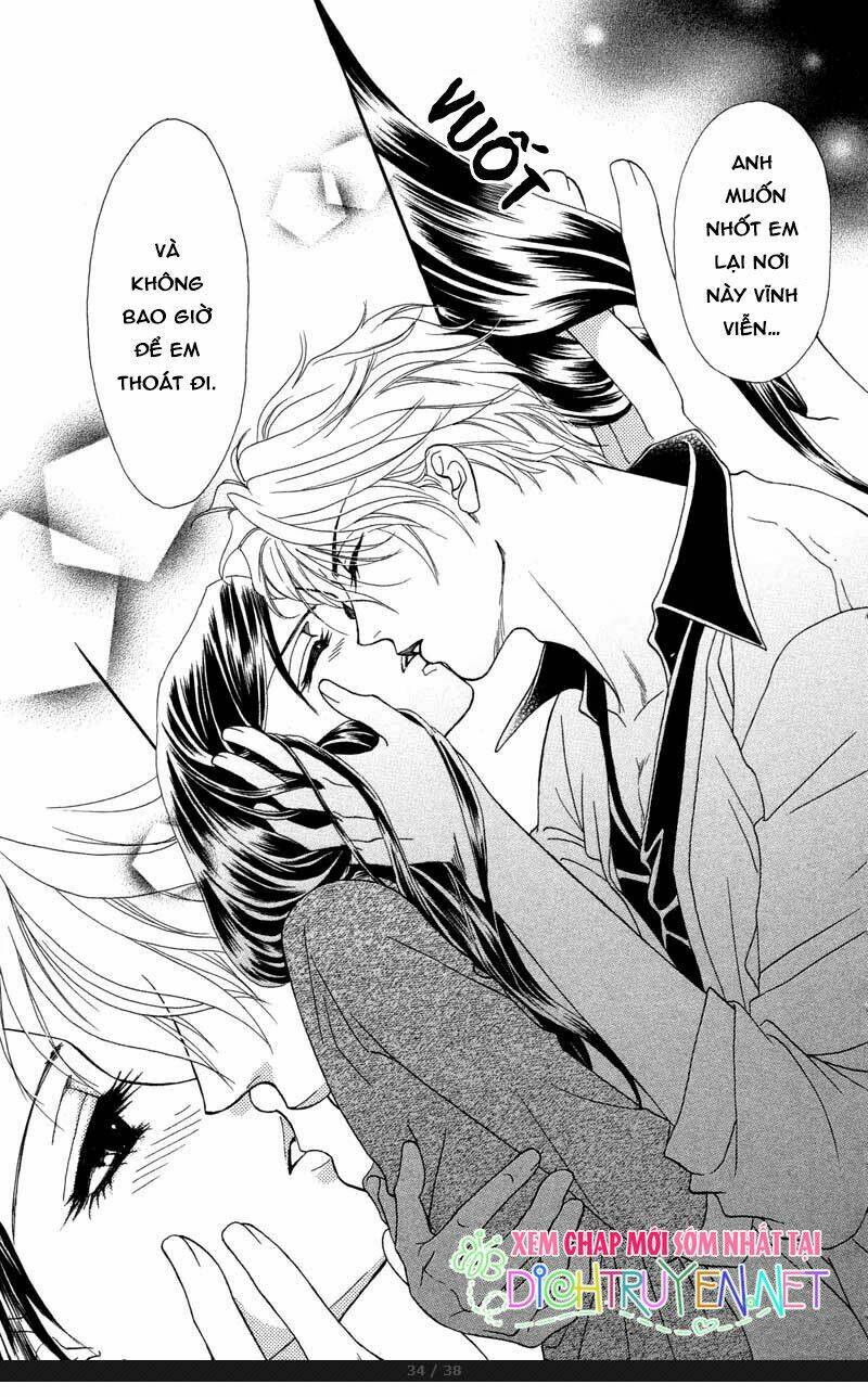 đóa hồng dành tặng seri chapter 6 34