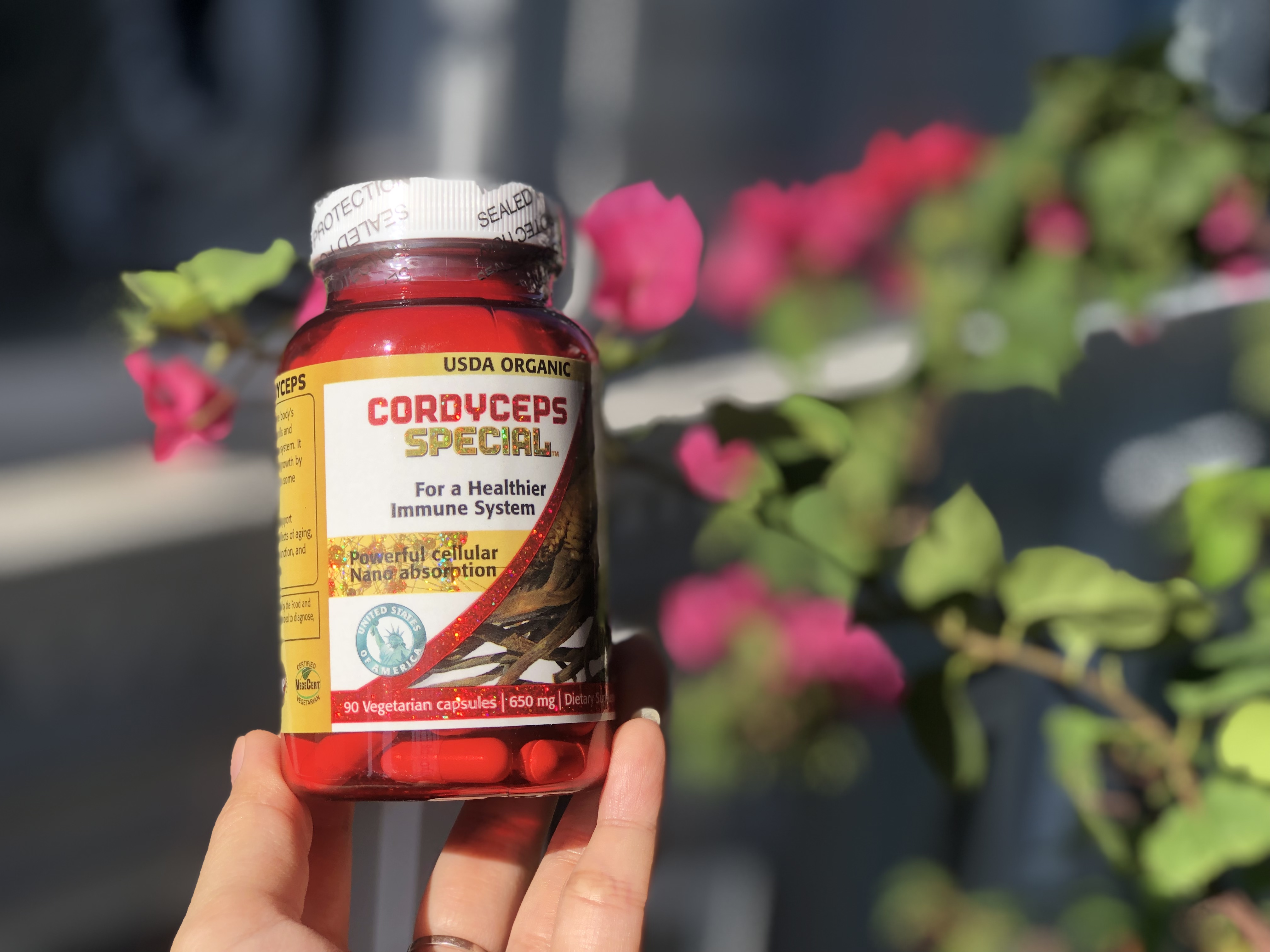 Thực Phẩm Chức Năng Đông Trùng Hạ Thảo Cordyceps Special