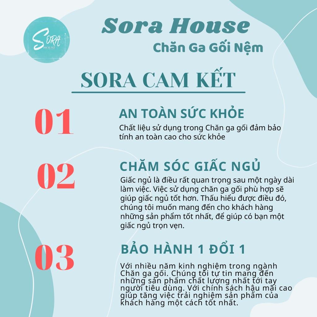 Bộ Chăn Ga Gối Cotton TC Phối Màu