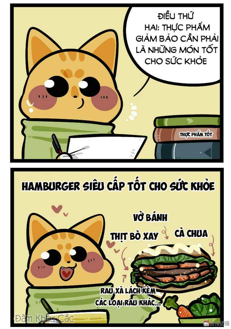 đời không như mình tưởng chapter 61 5