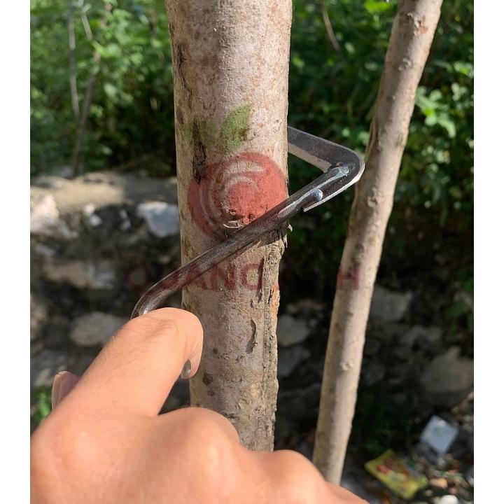 Dao Khoanh Vỏ Cây Lưỡi Mịn - Dụng Cụ Khoanh Vỏ Cây - Ức Chế Sinh Trưởng Cây Ăn Quả Chuyên Dụng