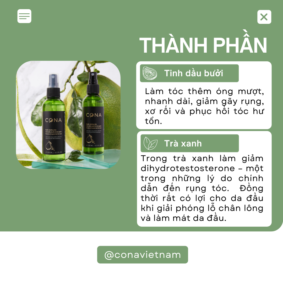 Nước dưỡng tóc tinh dầu bưởi và trà xanh cona 100ml giúp tóc chắc khỏe (3x100ml)