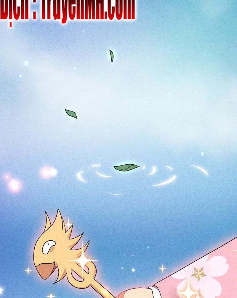 101 mỹ nam của vương phi béo phì chapter 29 16