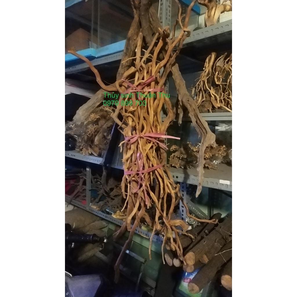 Lũa rễ rừng cứng xoắn trang trí bể bán cạn, bể thủy sinh