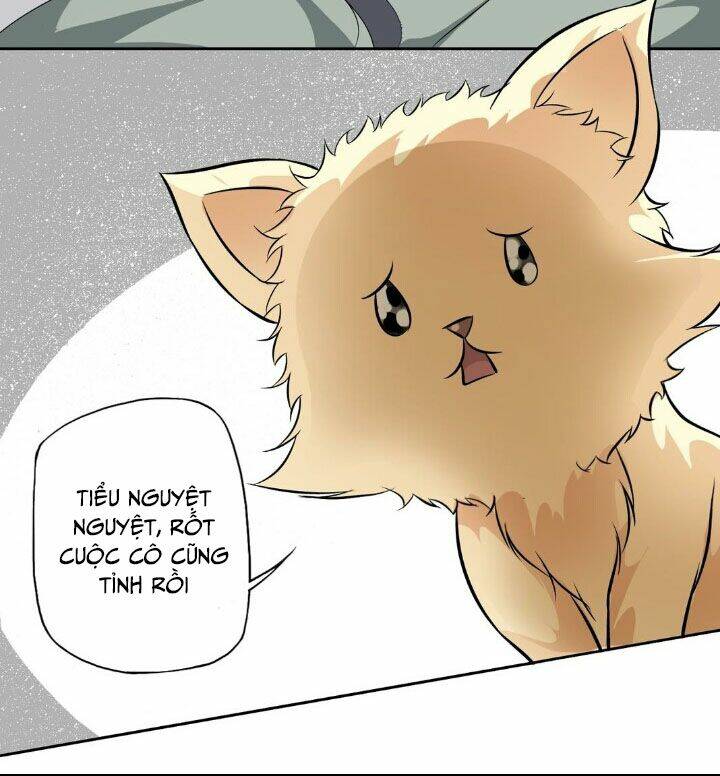 bạn trai tùy chỉnh chapter 5 40