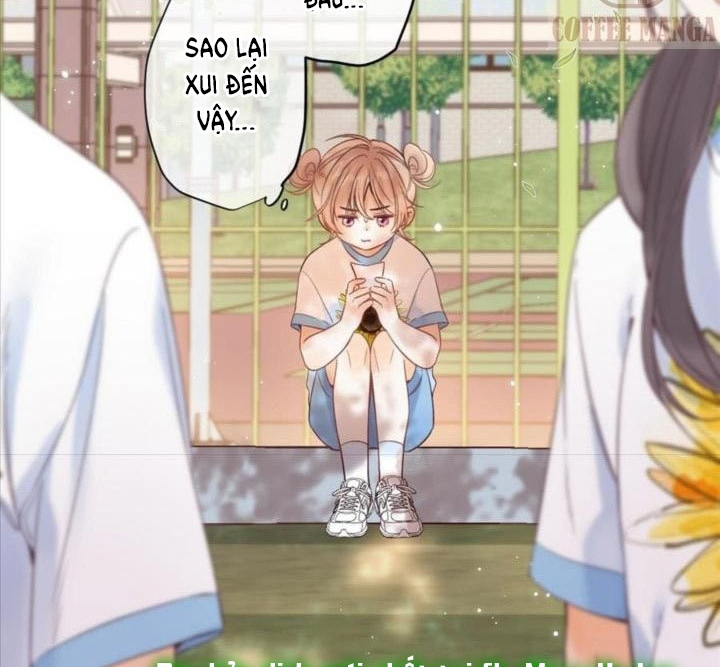 vụng trộm không thể giấu - mối tình thầm kín chapter 23 34