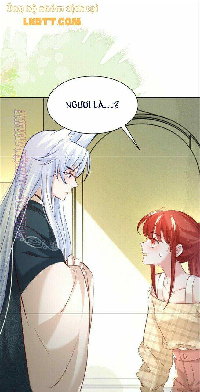 hắc hóa nam chính trực tuyến nuôi thỏ chapter 36 2