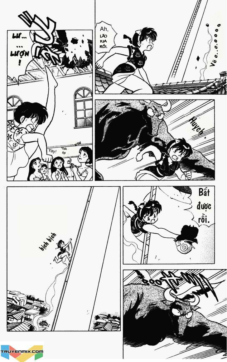 suối lời nguyền chapter 237 8