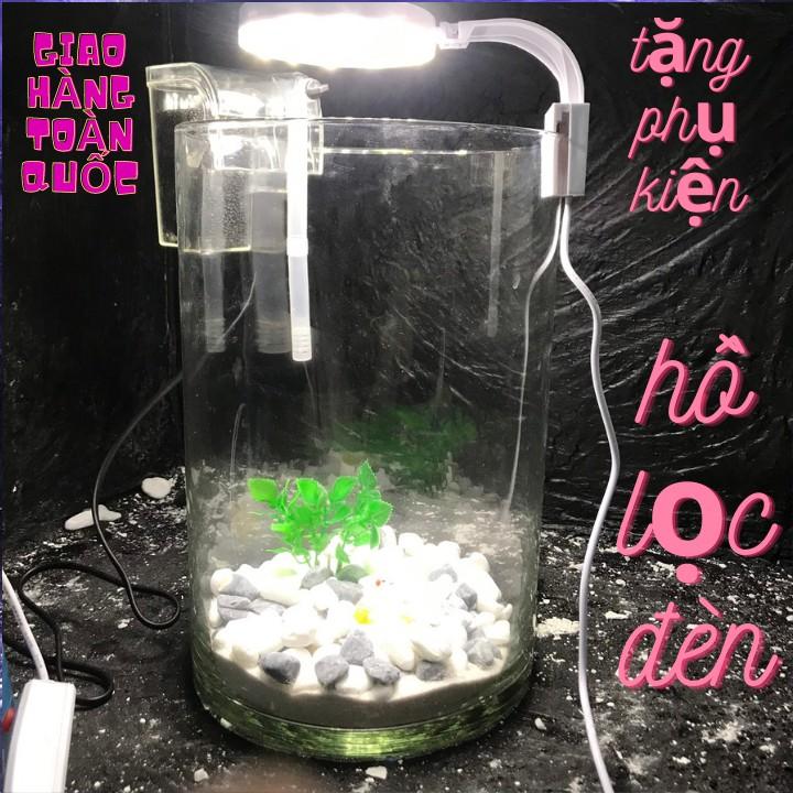 Bể cá mini để bàn kèm phụ kiện tiểu cảnh có hồ lọc đèn