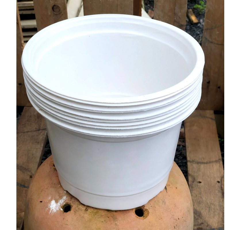 Combo 50 cái Chậu nhựa nâu N18x15cm trồng cây ăn trái và hoa,bền đẹp-77426
