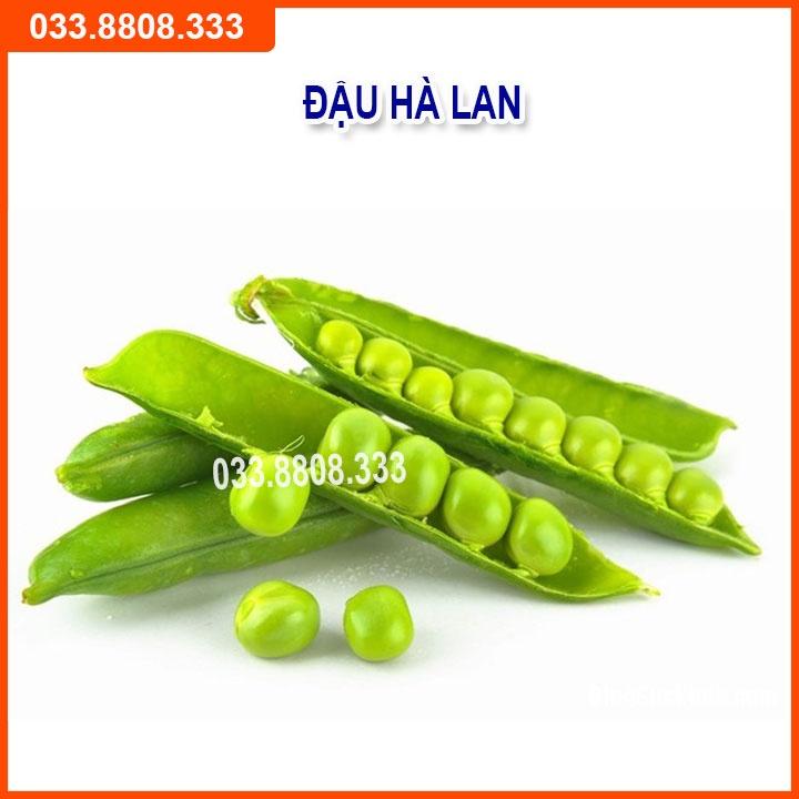 Bộ 4 Hạt Giống Đậu Đỗ Dưa Chuột