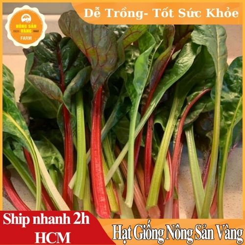 Hạt giống Cải Nhiều Màu Nảy Mầm Cao, Sinh Trưởng Và Phát Triển Khỏe - Nông Sản Vàng