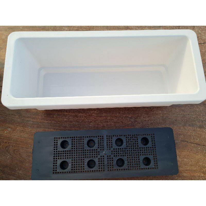 Khay trồng hoa, trồng rau