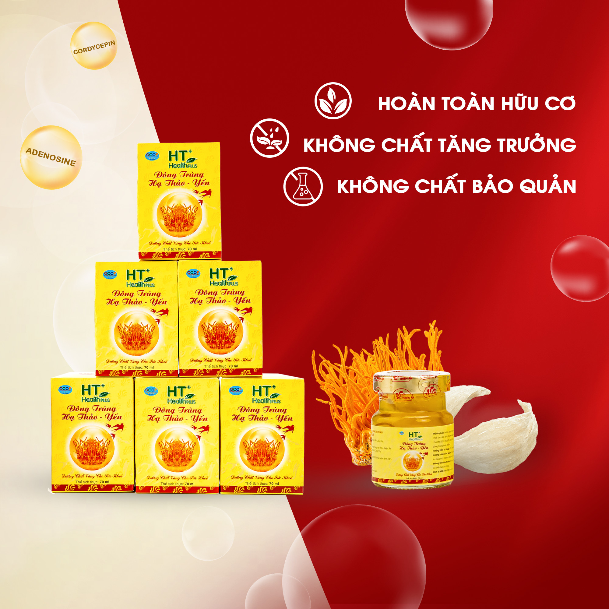 Đông Trùng Hạ Thảo Yến HT Thiên Ân - Lốc 6 Hũ